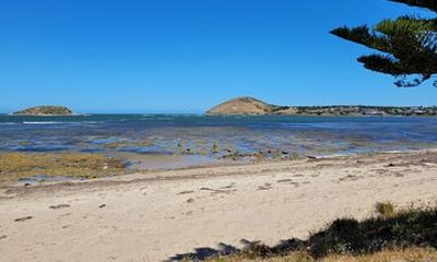 Victor Harbor: Stories of Whaling, Shipwrecks and European Settlers Guided Tour