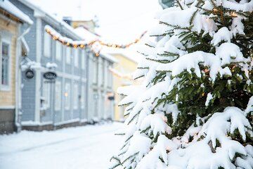 Porvoo's Christmas Magic and Traditions Private Tour