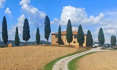 PRIVATE TOUR: Savor Exquisite Wines, Brunello & Nobile Wine Tour
