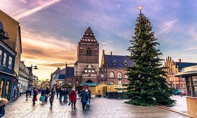 Christmas Charms of Roskilde - Private Walking Tour