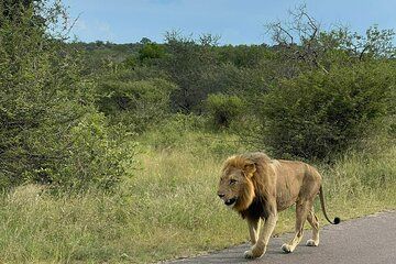 Kruger 2 Days Safari from Nelspruit