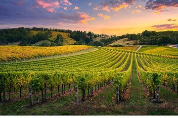 Full Day Grape Escape to Alsace wine route via Strassbourg