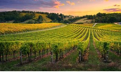 Full Day Grape Escape to Alsace wine route via Strassbourg