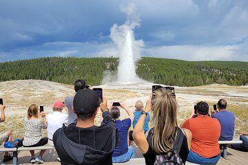2 Day 1 Night Yellowstone with Expert Guide