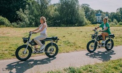 Electric Fatbike Full Day Rental in Breda