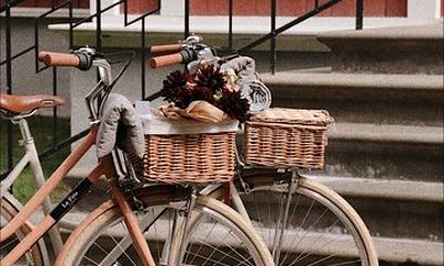 Bicycle Tour with picnic meal in Sigulda