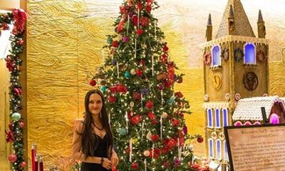 Christmas Lights Private Tour of New York with Free Drink