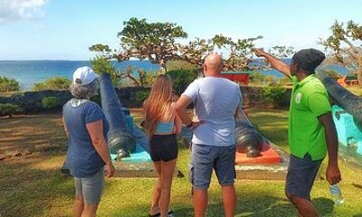 Full Day Group Tour in Tobago Atlantic Coast