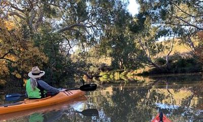 Kayaking in Geelong Victoria