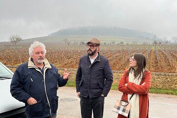 Burgundy Cote de Beaune Private Day Tour with Tastings from Beaune or Dijon