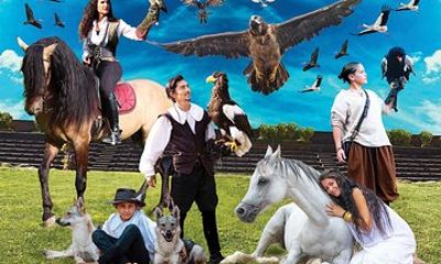 Skip the Line: Falconeria Locarno Ticket