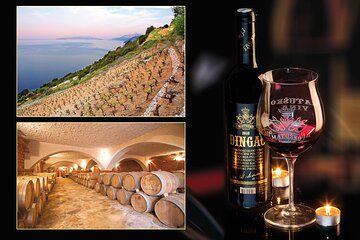 Private Peljesac and Dingac Wine Tour from Dubrovnik