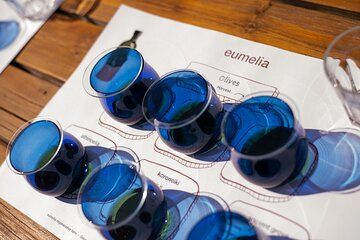 Olive Oil Tasting in an Ancient Olive Grove - Peloponnese Greece