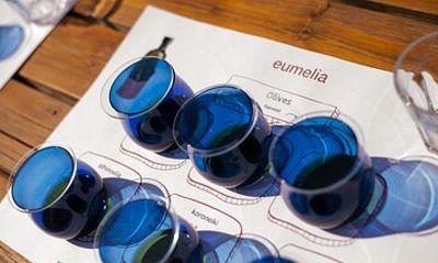Olive Oil Tasting in an Ancient Olive Grove - Peloponnese Greece