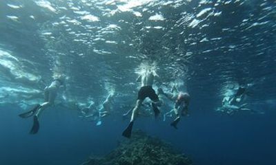 Guided Snorkeling Excursion in Malta