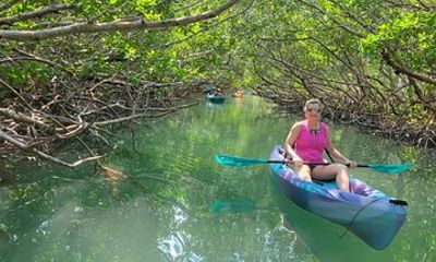 Key Largo: Mangroves & Manatees Kayak Eco Tour
