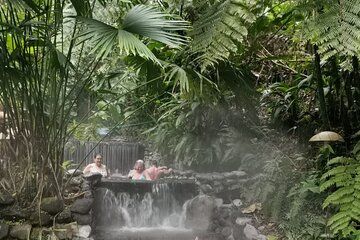 Arenal Volcano Tour & EcoTermales Thermal Pools from San José