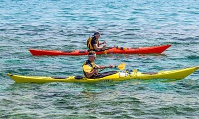 2 or 5 Hours Kayak Rental in Key Largo