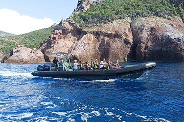 Small Committee Tour in Scandola Reserve
