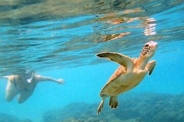 Private Rincon Snorkeling Adventure