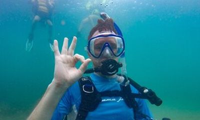 Rincón Shore Dive | No Boat, No Seasickness | Expert Guides
