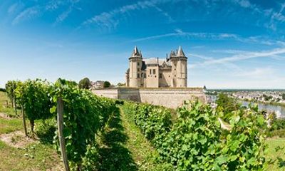 Loire Valley Wine Region: Private Full Day Tour from Tours