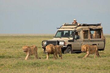 3-Day Serengeti and Ngorongoro Crater Safari Adventure