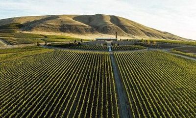 Private Personal Winery Tours in Walla Walla