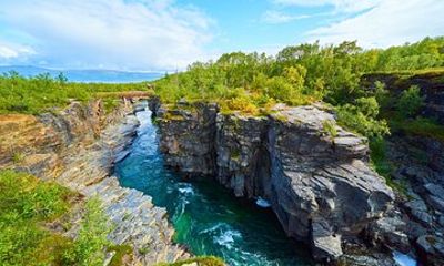 Discover Abisko Natioalpark : A Private Guided Nature Tour
