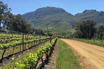 Greatest Wine Tour of the Cape Winelands