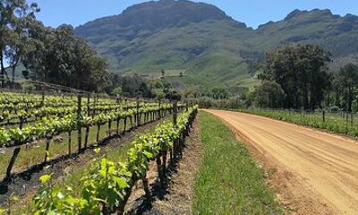Greatest Wine Tour of the Cape Winelands