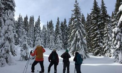Snowshoeing day trip from Bansko to Rhodope Mountains