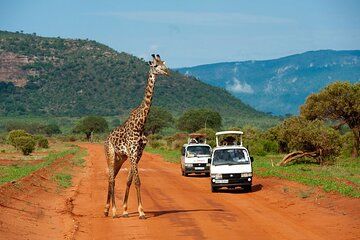 13 Days Wildlife Safari Nairobi to Diani Sandy Beach Tour