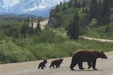 7 Hour Private Emerald Lake Van Excursion