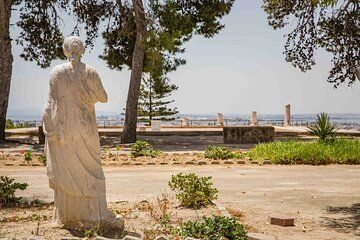Private Walking Tour of Carthage Archaeological Site in Tunisia