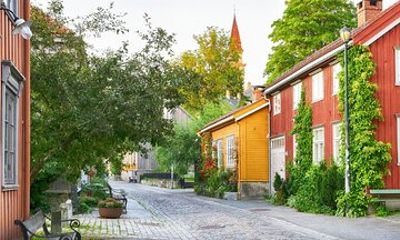 3 Hour Private Guided Walking Tour in Trondheim
