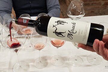 Day Tour: Visit Histria Ancient Citadel & Taste local wines