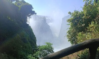 Guided Tour of the Victoria Falls