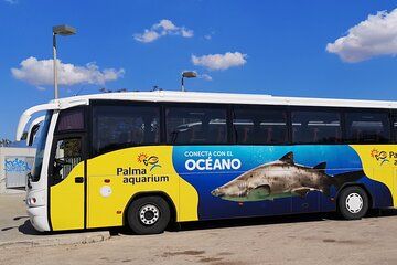 Ticket + Transfer to Palma Aquarium