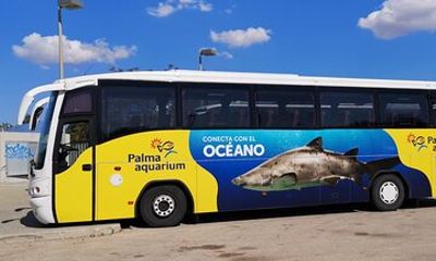Ticket + Transfer to Palma Aquarium