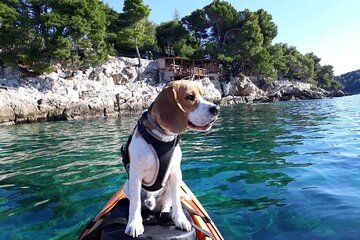'Pomalo' Guided Sea Kayaking Tour in Cavtat