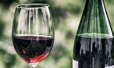Private Tasting Experience in Parma