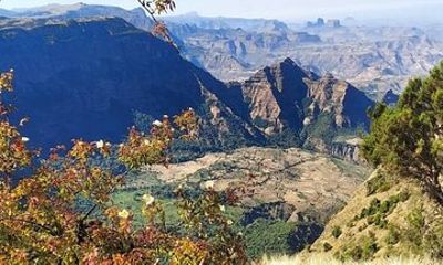 6 Days Trekking Simien Mountains Ras Dashen