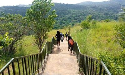 Day Tour to Shimba Hills National Reserve and Shedrick Falls