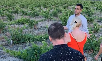 Santorini Uncorked A Grape Escape into Wine Paradise