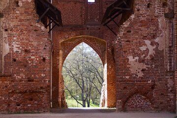Culture and Art Walking Tour of Tartu