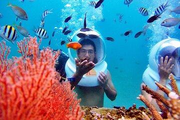 Experience Nha Trang Sea Walk and Traditional Seafood Cuisine