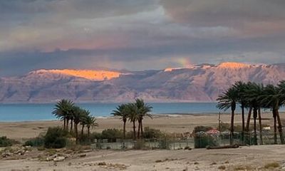 Masada & Dead Sea with Licensed Guide Full day Tour for Cruises