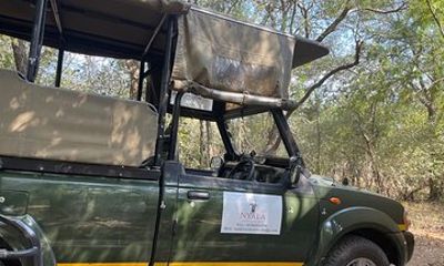 Half Day Kruger Safari Private Tour