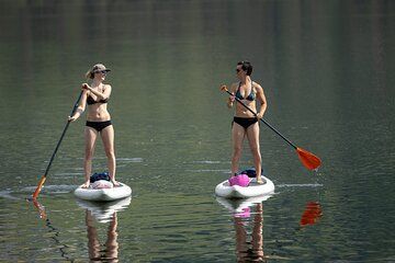 Stand Up Paddle Board Rental